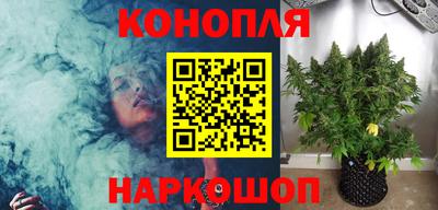 шишки Будённовск