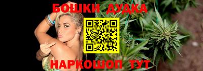 шишки Будённовск